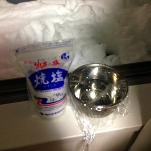 ごちそうさん実験（雪で氷を作る奴）失敗に終わる…いやまだ終わってないぜ！！