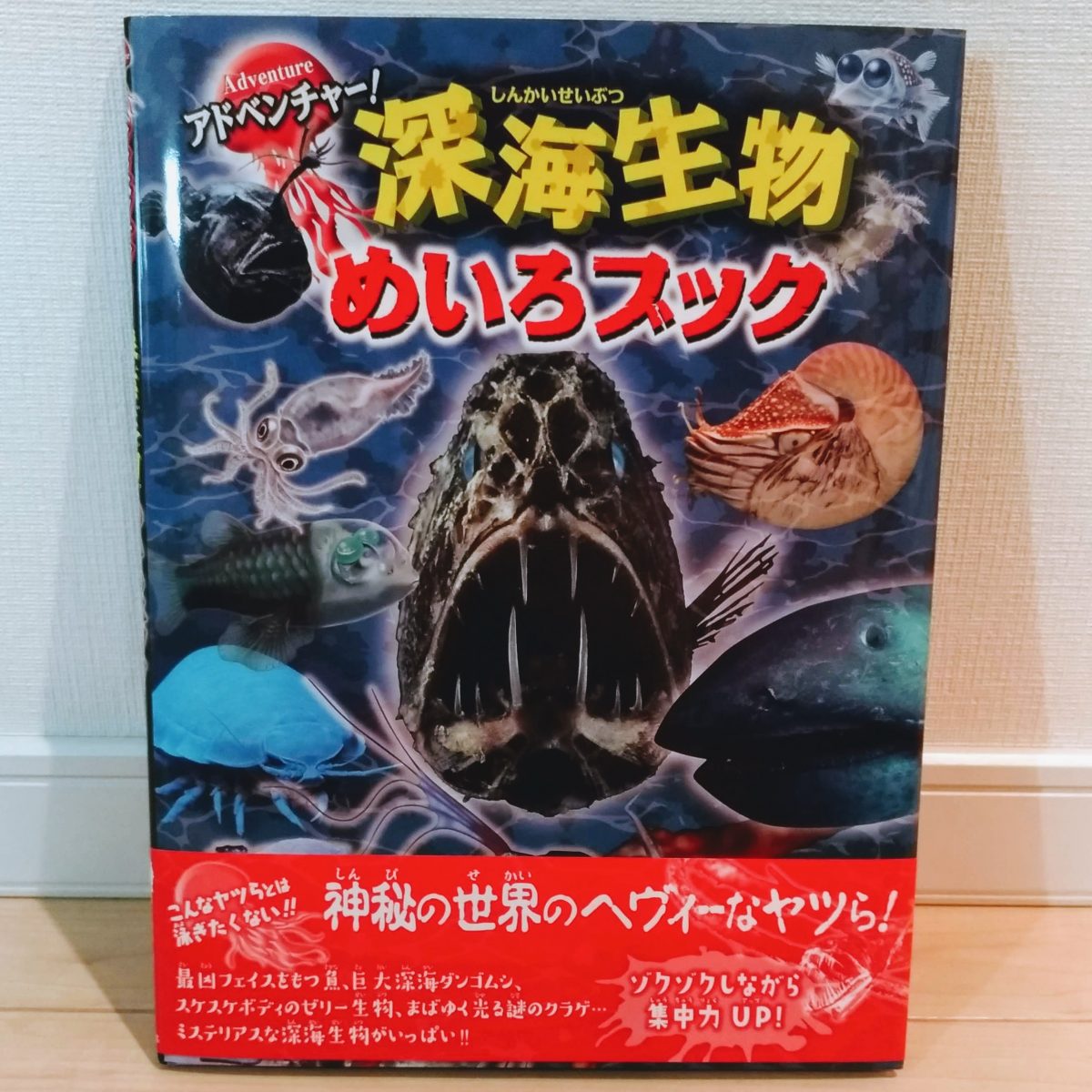 金の星社「アドベンチャー！深海生物めいろブック」！
