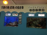IMG 3503