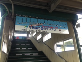 IMG_3565.JPG IMG 3565