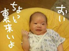 生意気なむすこ