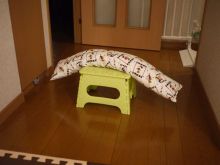 さいごーどん、3歳初の作品